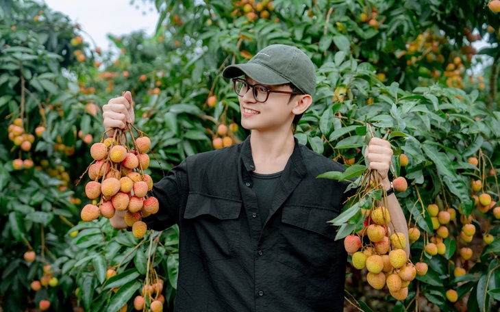 Vải thiều Bắc Ninh thắng lớn, tổng doanh thu vượt 9.000 tỉ đồng - Ảnh 2.