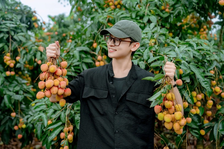 Vải thiều được mùa giá, doanh thu hơn 8.600 tỉ đồng - Ảnh 1.