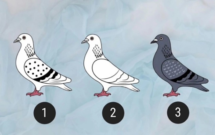 Quiz: Niềm vui của bạn bắt nguồn từ đâu? - Ảnh 1.