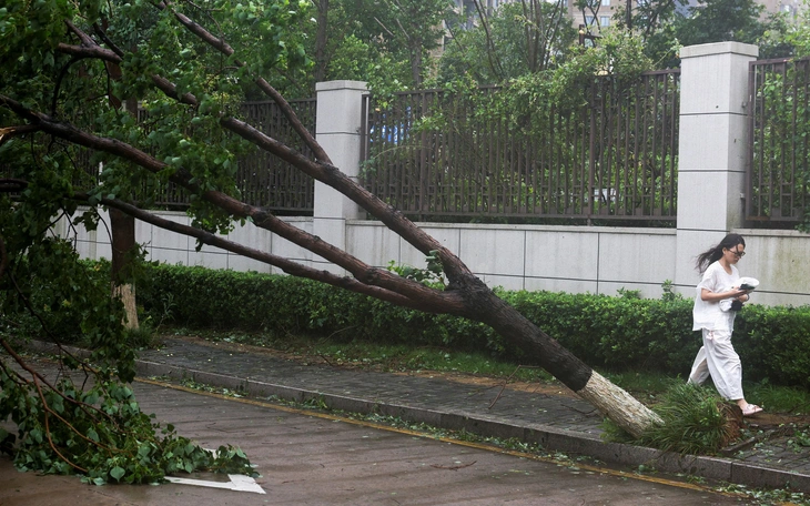 Thời tiết hôm nay 13-7: Nam Bộ chiều tối mưa to đến rất to - Ảnh 2.