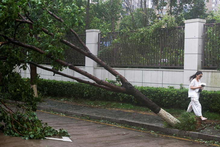 Bão Ba Vì suy yếu thành bão nhiệt đới sau khi đổ bộ vào Trung Quốc - Ảnh 1.