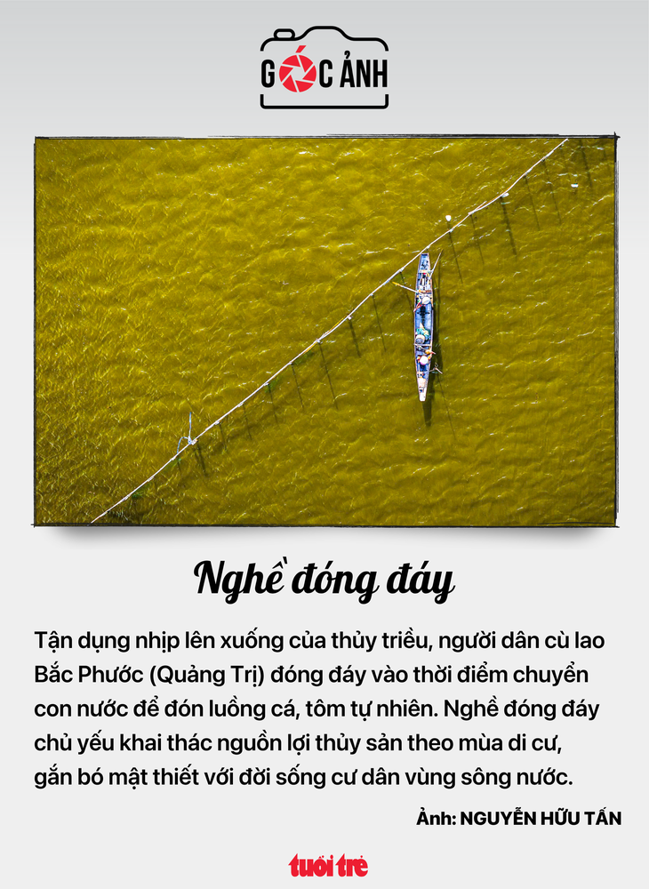 - Ảnh 4.