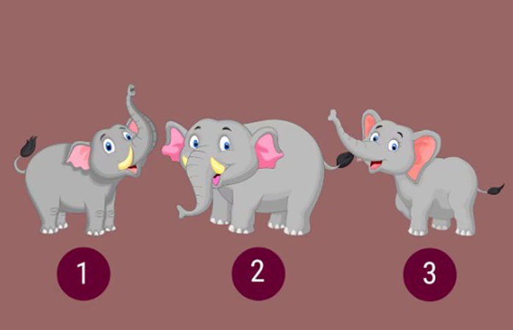 Quiz: Điểm mạnh của bạn ở thời điểm hiện tại là gì? - Ảnh 1.