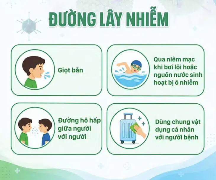 Ca mắc adeno vi rút tăng gấp 3 lần, cảnh báo nguy cơ lây nhiễm từ bể bơi công cộng - Ảnh 1.