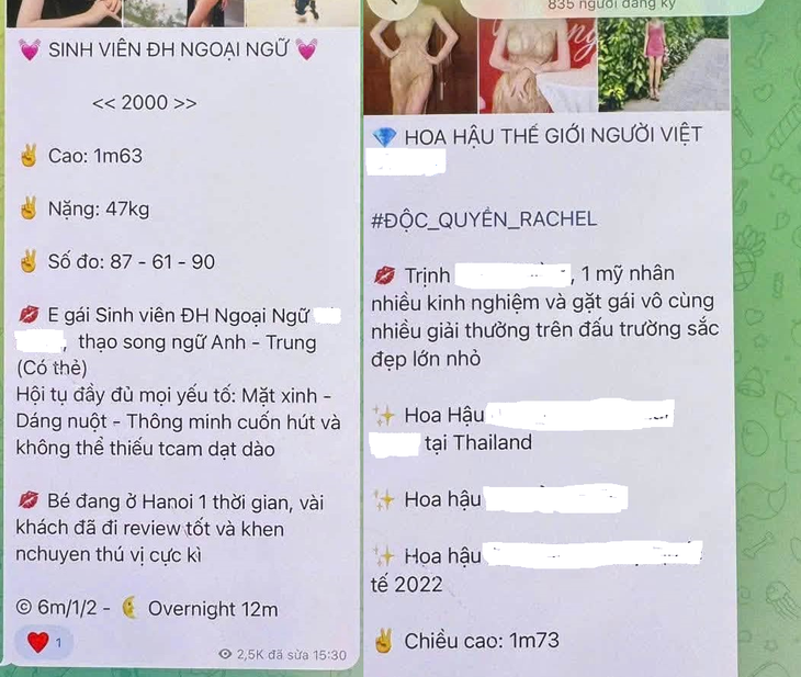 Đường dây môi giới mại dâm, mỗi lần đi tour giá đến 150 triệu đồng/lần hoạt động ra sao? - Ảnh 2.