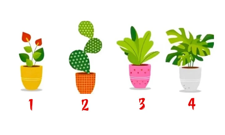 Quiz: Bạn thường cho đi hay giữ lại? - Ảnh 1.