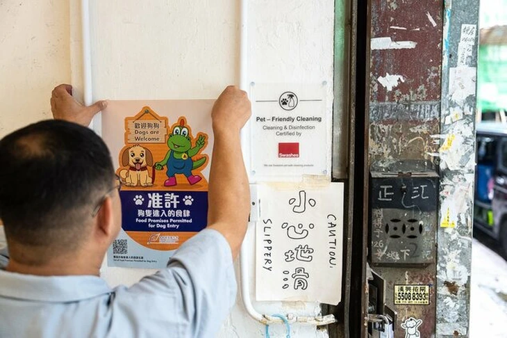 Nhà hàng Hong Kong mở cửa chào đón 'thực khách bốn chân' - Ảnh 4.