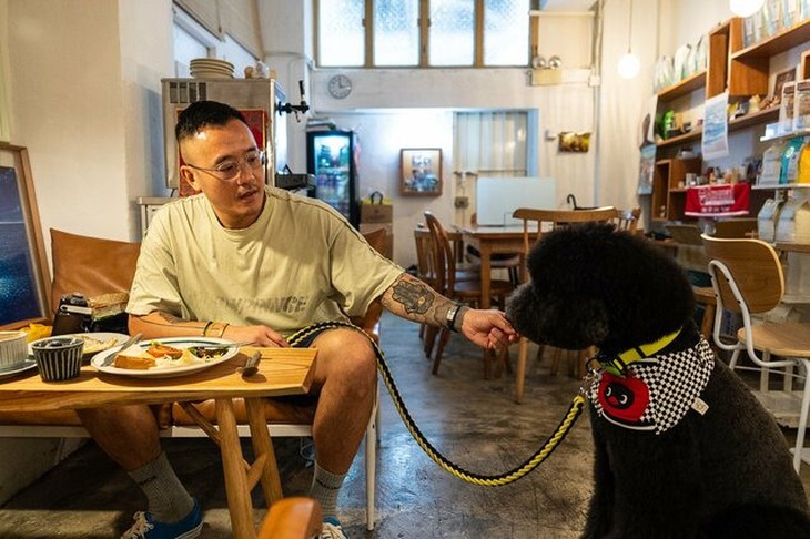Nhà hàng Hong Kong mở cửa chào đón 'thực khách bốn chân' - Ảnh 3.