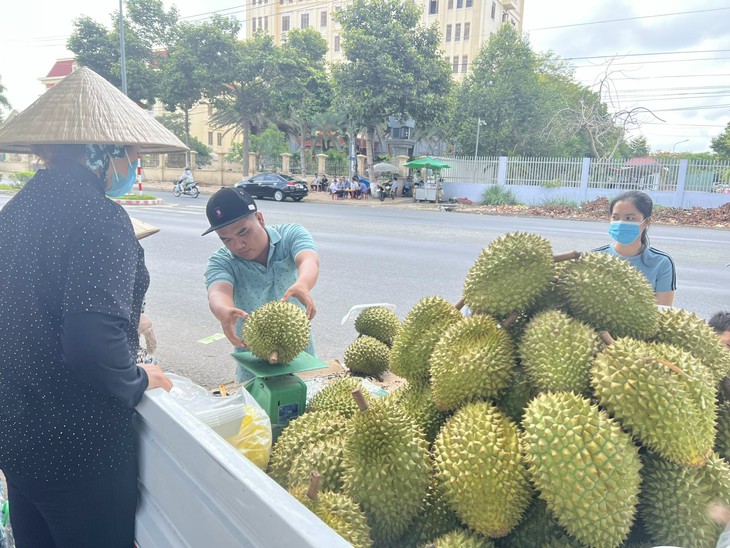  - Ảnh 1.