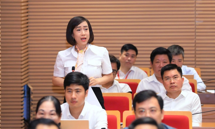 Đại biểu HĐND TP Hà Nội mang vỏ thuốc bảo vệ thực vật vào nghị trường chất vấn Chủ tịch phường - Ảnh 3.