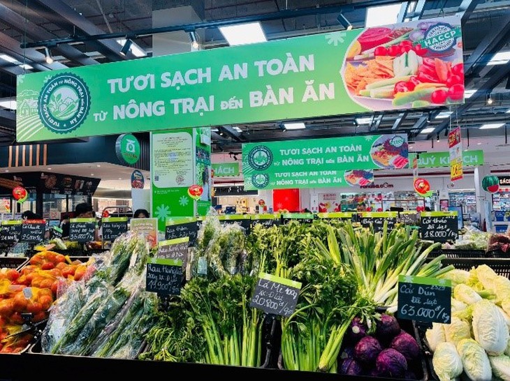 MM Mega Market giới thiệu giải pháp an toàn thực phẩm toàn diện cho căn tin - Ảnh 3.