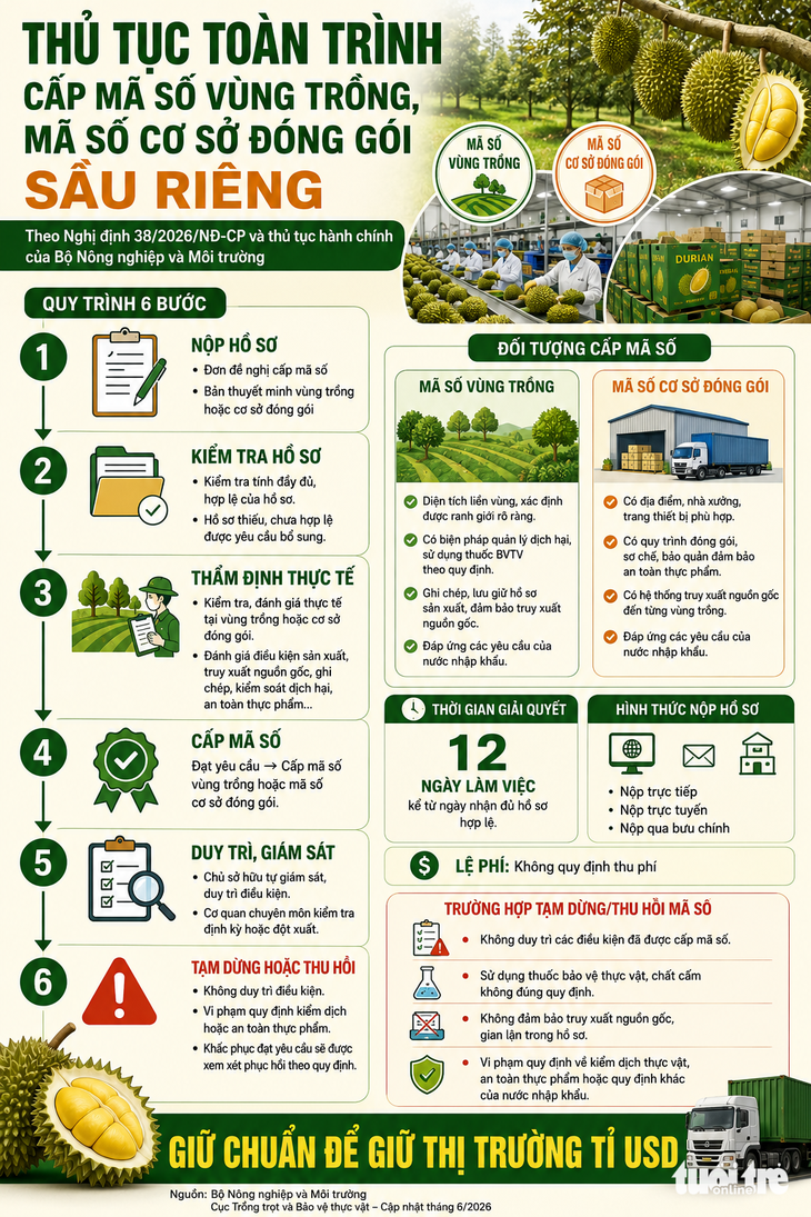 Muốn giữ thị trường phải quản đến từng hộ trồng sầu riêng - Ảnh 5.