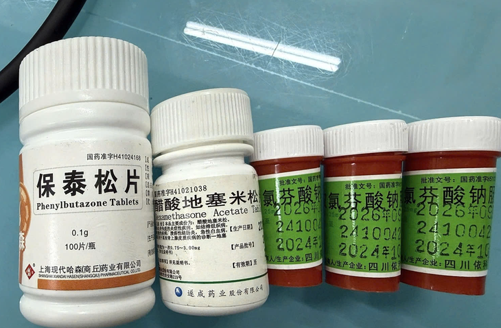 Suy thận, tan máu vì uống thuốc chứa Phenylbutazone trị đau khớp - Ảnh 1.