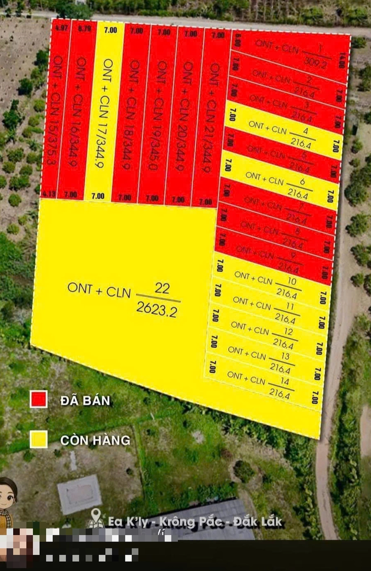 'Làng an yên 38 hộ dân' giữa đồi cà phê: Chính quyền lên tiếng cảnh báo - Ảnh 5.