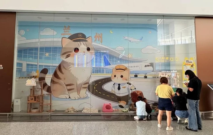 Thú vị gia đình mèo hoang làm 'đội tuần tra' sân bay Trung Quốc - Ảnh 2.