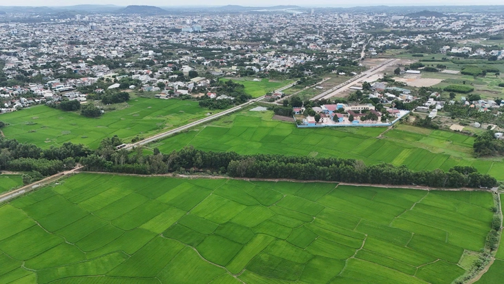 Vì sao Quảng Ngãi đề xuất dời ga đường sắt tốc độ cao về phía Nam 2km? - Ảnh 6.
