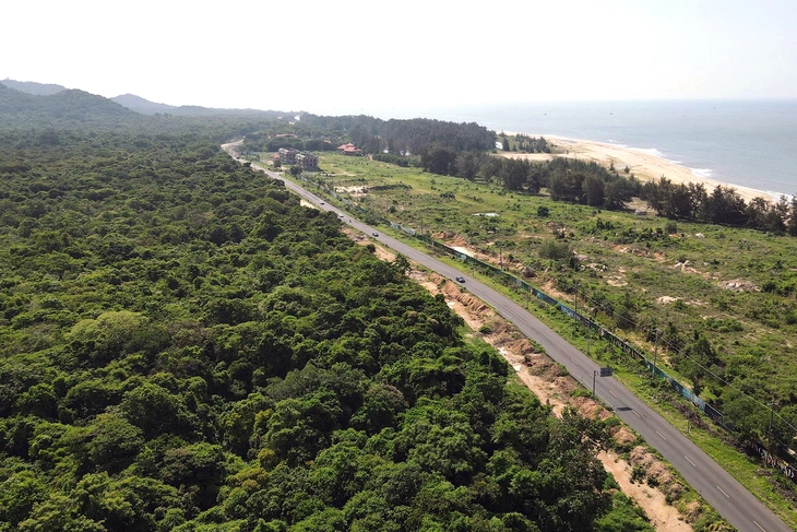 Lãnh đạo TP.HCM kiểm tra thực địa công tác quản lý rừng, phòng tránh thiên tai khu vực Bà Rịa - Vũng Tàu - Ảnh 4.