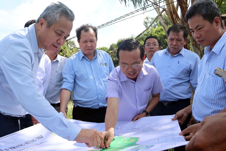 Lãnh đạo TP.HCM kiểm tra thực địa công tác quản lý rừng, phòng tránh thiên tai khu vực Bà Rịa - Vũng Tàu - Ảnh 3.