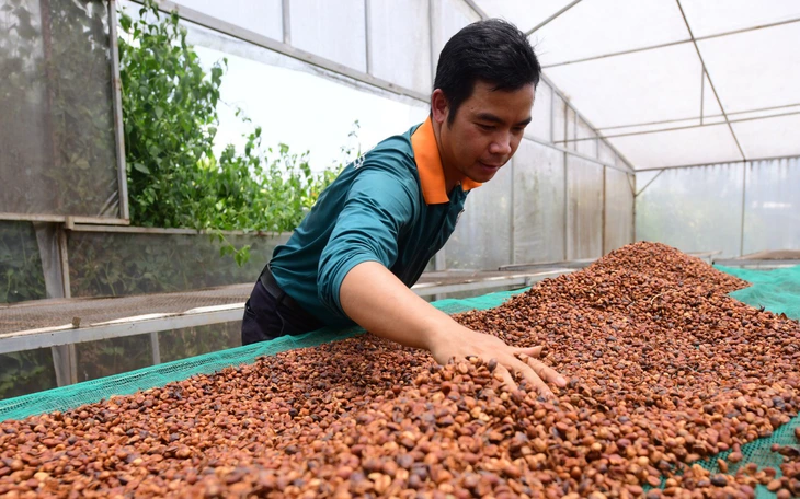 Đất màu mỡ và giá thuê rẻ, vì sao Đắk Nông vẫn khó thu hút nhà đầu tư nông nghiệp? - Ảnh 3.