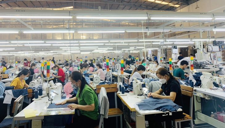 Vì sao có tình trạng ‘thừa việc, thiếu người’ trên diện rộng ở Cần Thơ? - Ảnh 1.