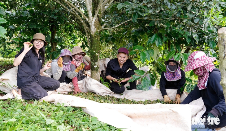 Đất màu mỡ mà giá thuê thì rẻ, vì sao Đắk Nông vẫn khó thu hút nhà đầu tư nông nghiệp? - Ảnh 1.