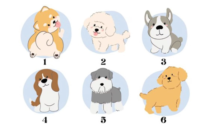 Quiz: Bạn bè ấn tượng về bạn điều gì? - Ảnh 4.