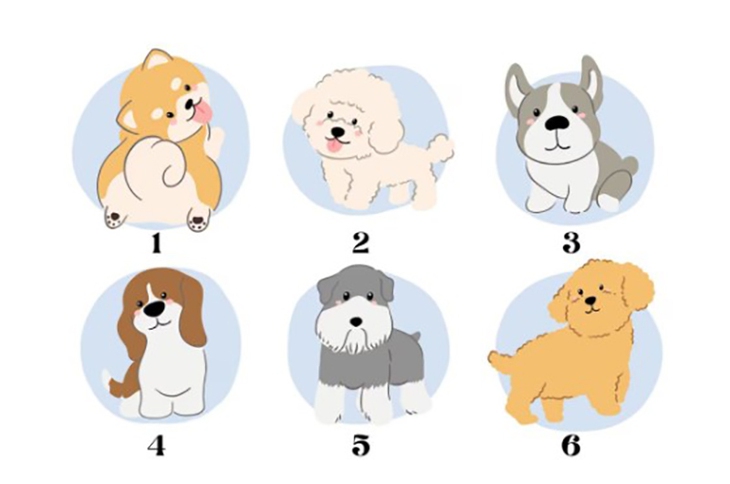 Quiz: Bạn cần tập trung điều gì lúc này? - Ảnh 1.