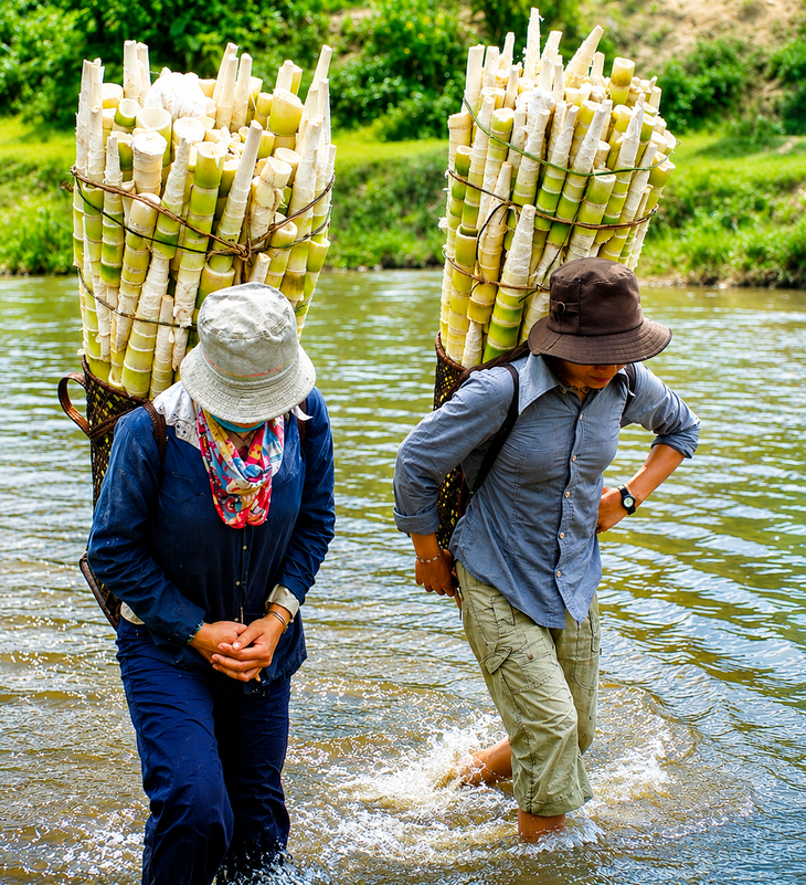 Cá de nấu với măng le, anh ăn một chén, khỏe re trong người - Ảnh 2.
