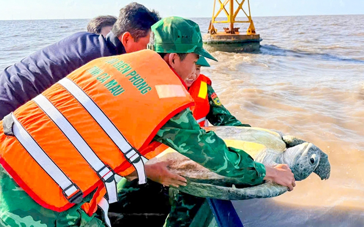 Người dân đem rùa quý hiếm đến chữa bệnh, bác sĩ thú y cứu con vật rồi vận động giao nộp cho kiểm lâm - Ảnh 4.