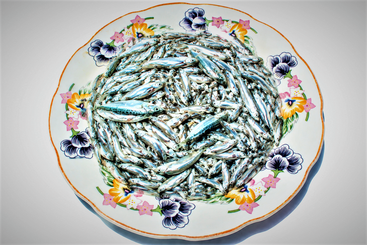 Cá de nấu với măng le, anh ăn một chén, khỏe re trong người - Ảnh 5.