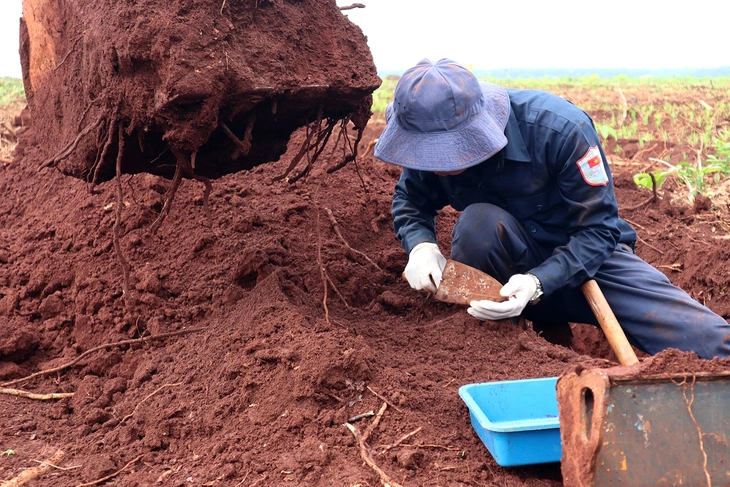 Phát hiện nhiều di vật liệt sĩ trong khu hố chôn tập thể tại Đồng Nai - Ảnh 3.