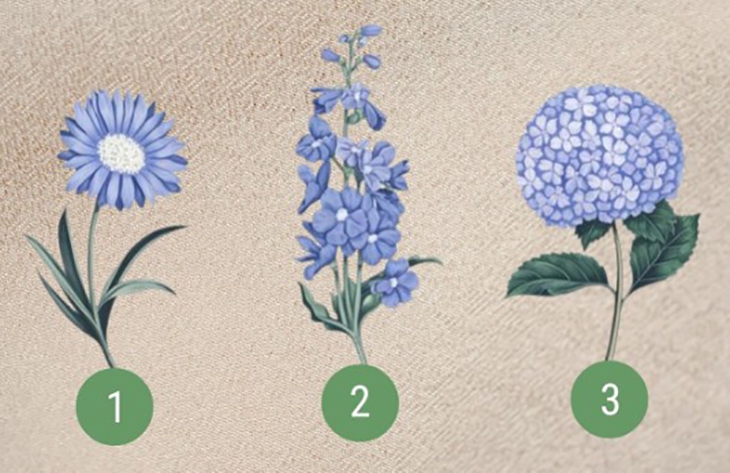 Quiz: Bạn nổi bật bởi sự sáng tạo hay đồng cảm? - Ảnh 1.