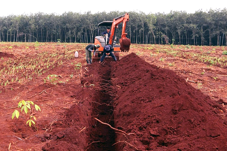 Phát hiện nhiều di vật liệt sĩ trong khu hố chôn tập thể tại Đồng Nai - Ảnh 9.