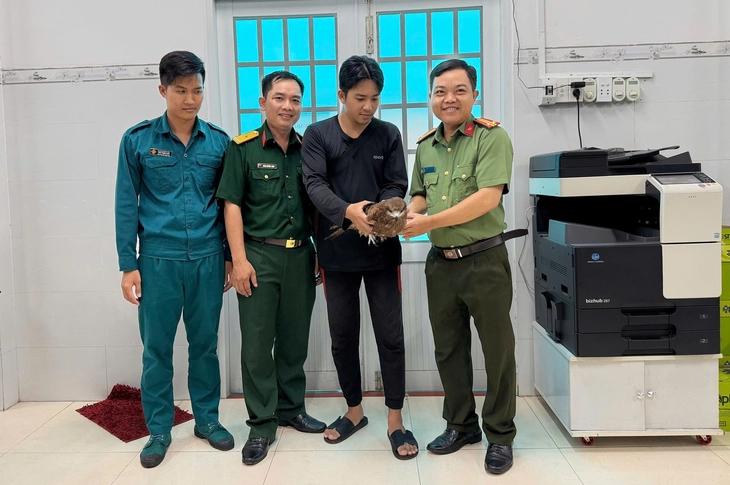 Bắt được chim Diều Lửa quý hiếm trong vườn, người dân mang giao công an - Ảnh 1.