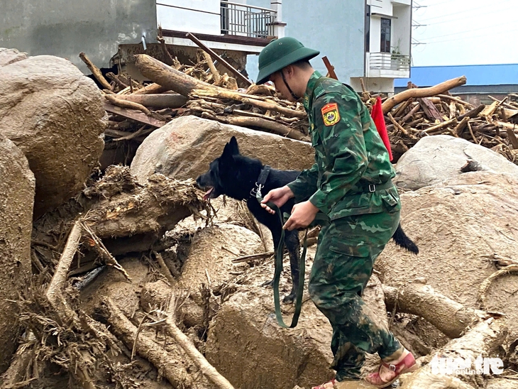 Lũ quét ở Lai Châu: Triển khai chó nghiệp vụ tìm kiếm 4 người mất tích - Ảnh 6.