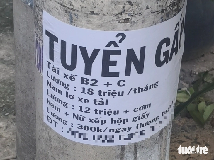 Cận cảnh 'dán bậy' tuyển dụng việc làm, cho thuê nhà… bôi bẩn cột điện ở TP.HCM - Ảnh 3.