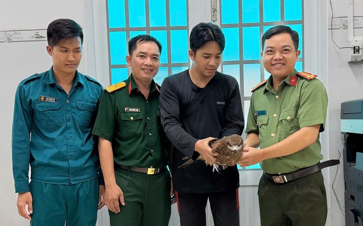 Người dân đem rùa quý hiếm đến chữa bệnh, bác sĩ thú y cứu con vật rồi vận động giao nộp cho kiểm lâm - Ảnh 2.