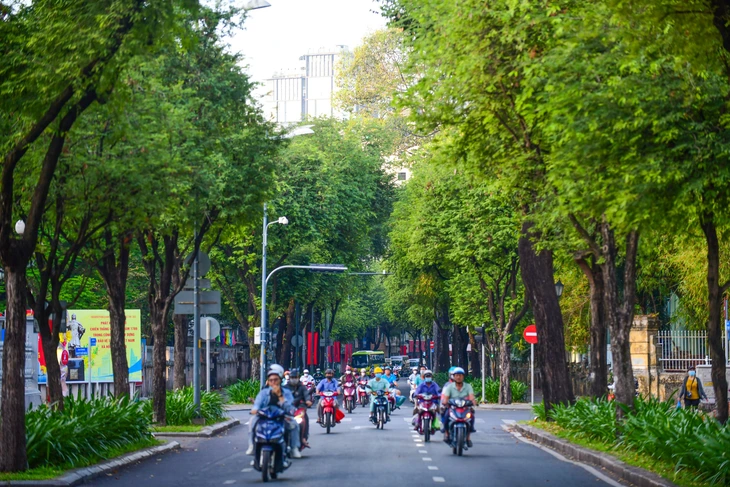 Chuyện nuôi nấng sinh viên của thành phố này - Ảnh 1.