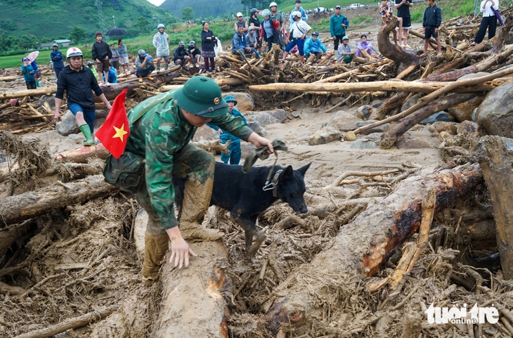 Chó nghiệp vụ bị thương vẫn dầm bùn tìm kiếm người mất tích vì lũ quét ở Lai Châu - Ảnh 1.