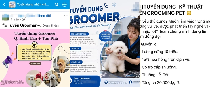 Bạn trẻ rủ nhau học cắt tỉa lông thú cưng - Ảnh 4.