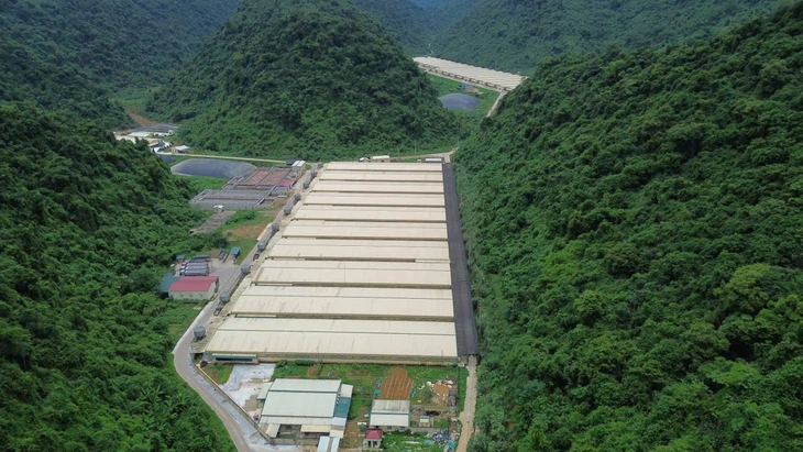 Vụ 5 người chết ở trang trại nuôi heo: Thanh Hóa kiểm tra toàn diện các trang trại - Ảnh 3.