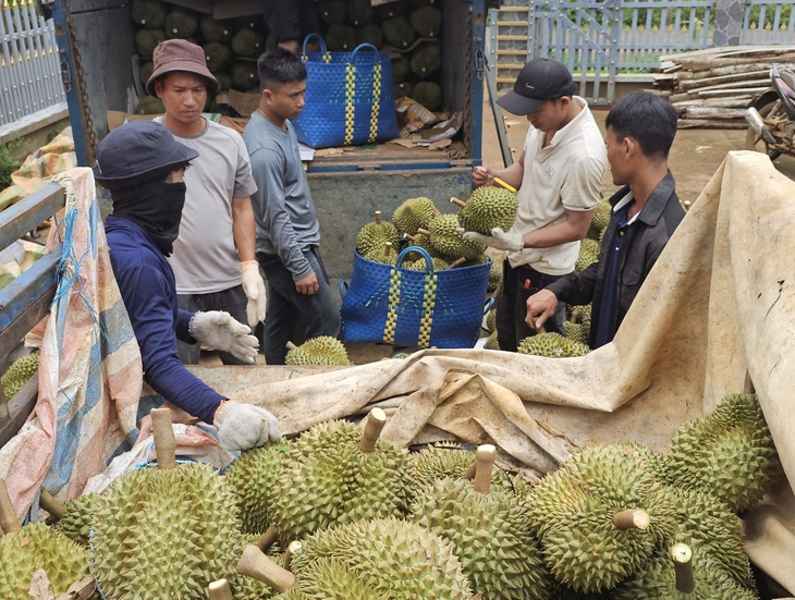 Bán trái cây giá cao gấp 7-8 lần giá nhà vườn, nhiều nơi đang lãi lớn? - Ảnh 5.
