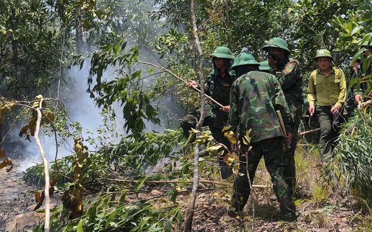 Nhiều cánh rừng phòng hộ ven biển Hà Tĩnh vẫn 'xơ xác' trước mùa mưa bão - Ảnh 6.