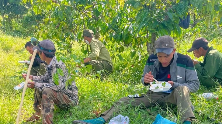 Hơn 100 người, chó nghiệp vụ tìm thiếu niên 14 tuổi mất tích suốt 4 ngày ở Đắk Lắk - Ảnh 1.