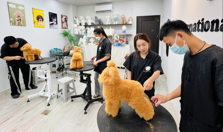 Bạn trẻ rủ nhau học cắt tỉa lông thú cưng - Ảnh 1.