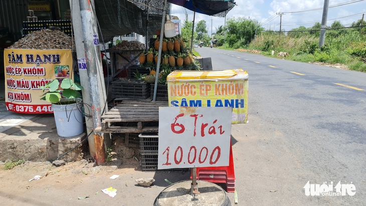 Giá khóm Đồng Tháp tăng cao 2026 nhưng vẫn có khóm 10 . 000 Đồng , lý do gì phía sau? - Ảnh 3.