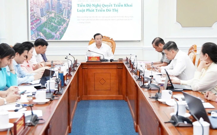 Phó chủ tịch HĐND TP.HCM: ban hành nghị quyết cụ thể hóa Luật Phát triển đô thị trước ngày 1-10 - Ảnh 2.