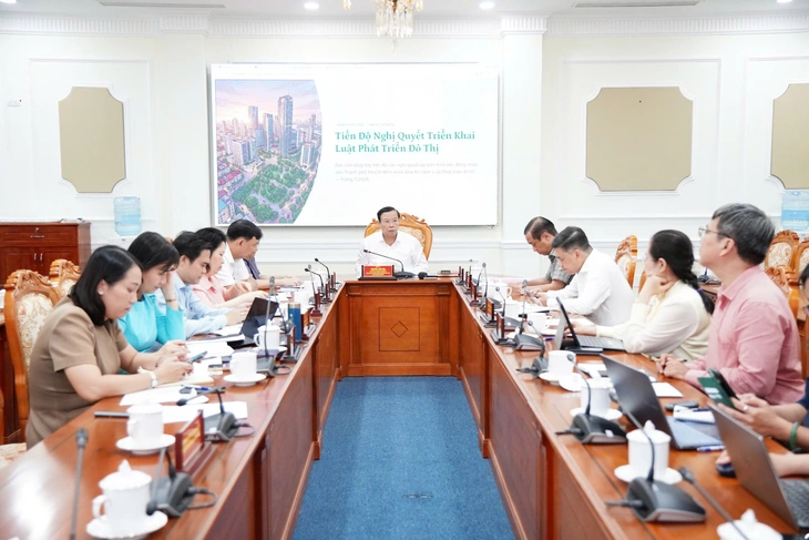 HĐND TP.HCM xây dựng dự dự thảo nghị quyết “đón đầu” Luật Phát triển đô thị - Ảnh 1.