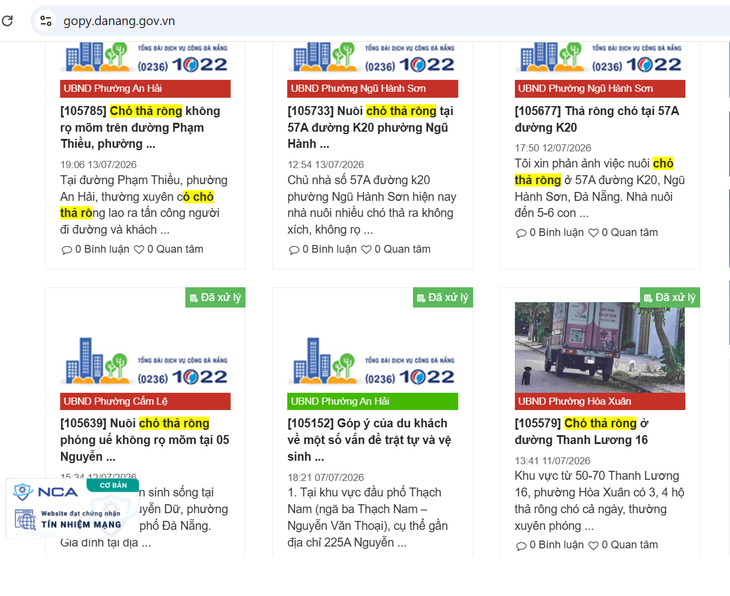 Phường ở Đà Nẵng lập tổ bắt chó thả rông, công an lập biên bản xử lý - Ảnh 3.