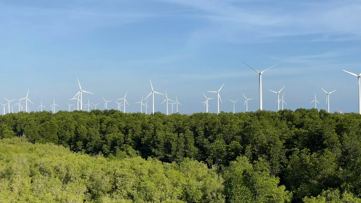 Chấp thuận chủ trương đầu tư dự án đường dây 500kV LNG Bạc Liêu - Thốt Nốt - Ảnh 1.